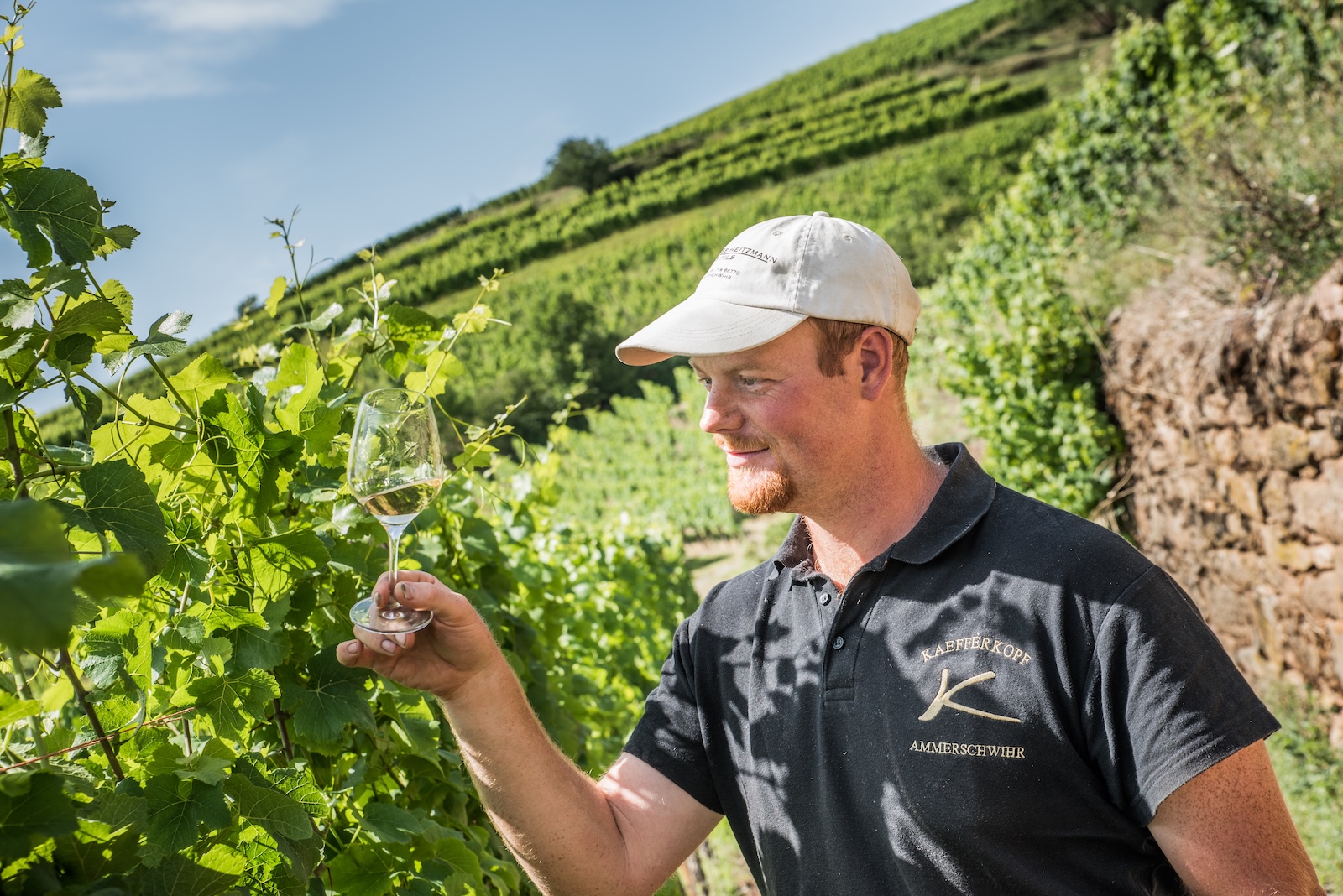 Domaine Alphonse Heitzmann à Ammerschwihr Route des Vins d'Alsace