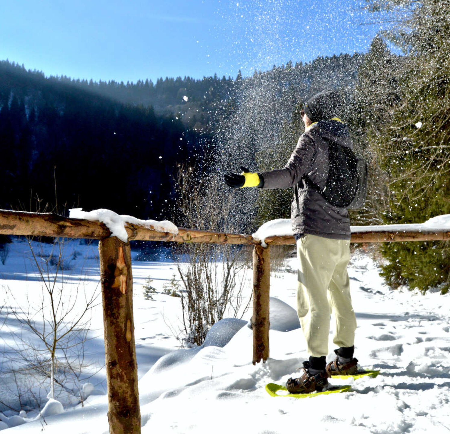 Snowshoeing