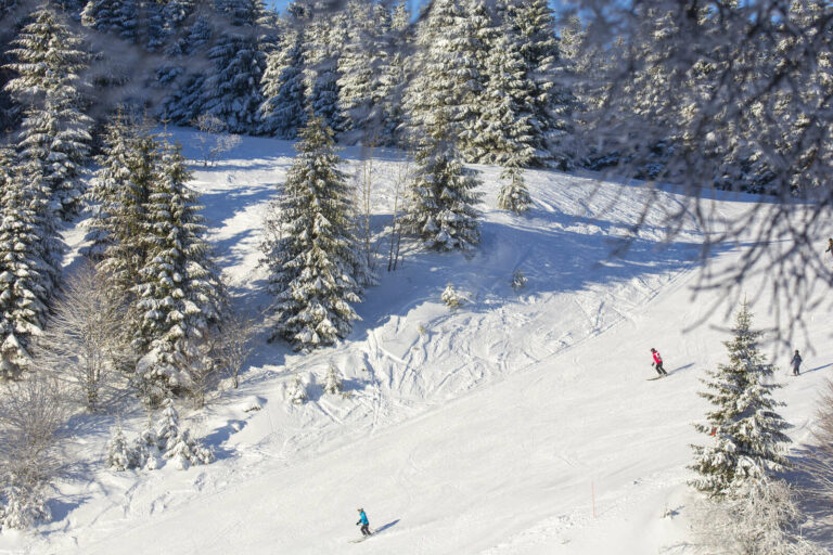 Domaine alpin de la station du Lac Blanc - Massif des Vosges